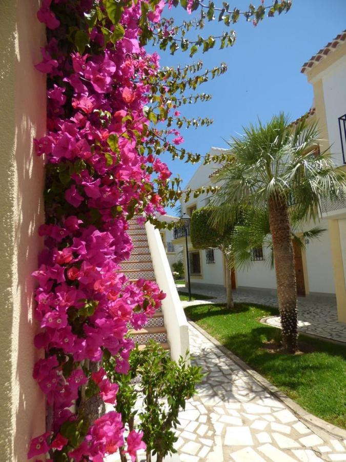 Casa Del Pescador En L'Île-Rousse Dış mekan fotoğraf