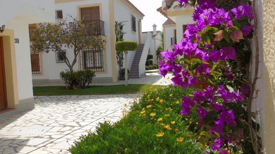 Casa Del Pescador En L'Île-Rousse Dış mekan fotoğraf